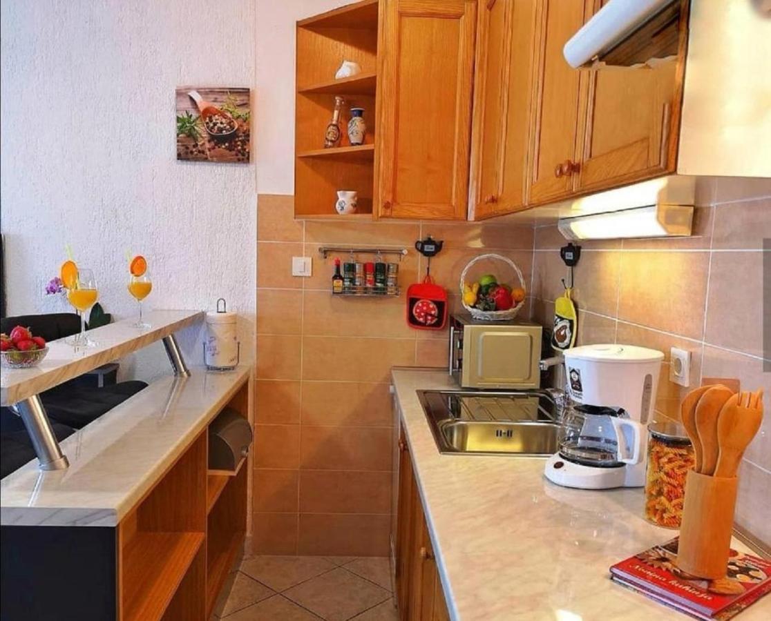 Holiday House Pasjak Sapjane Extérieur photo